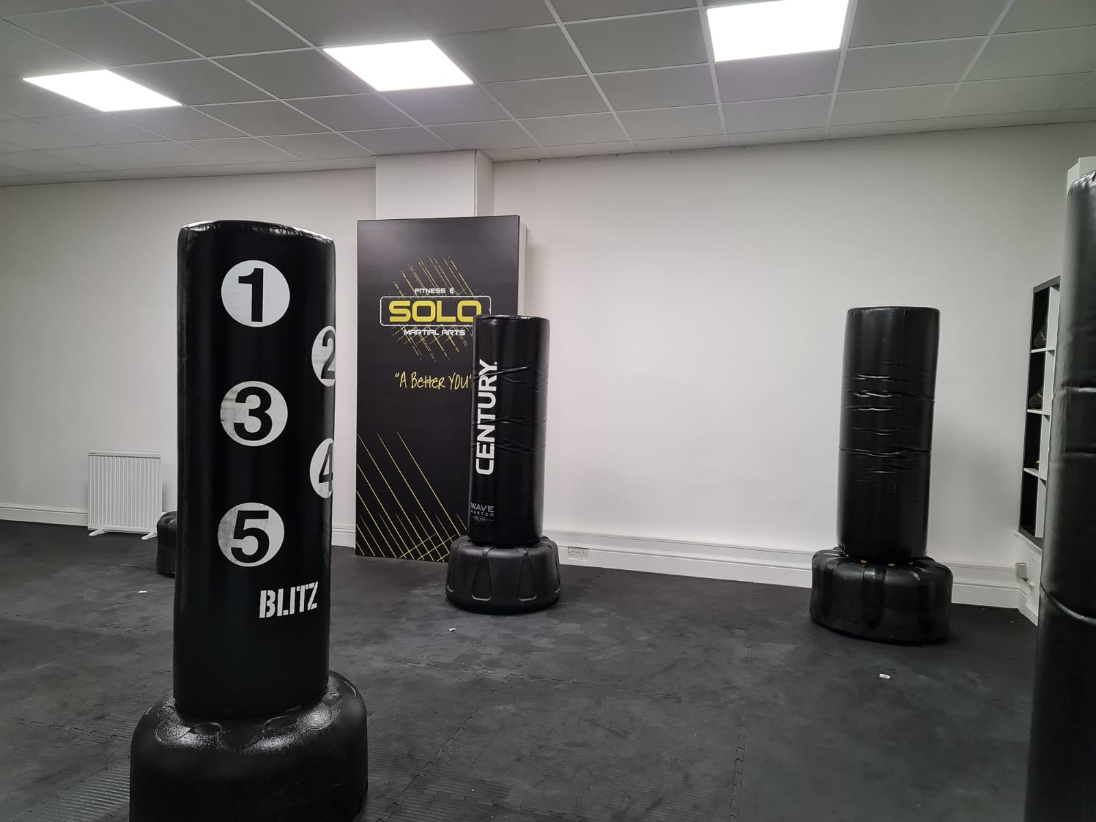 Solo Studios Punch bags