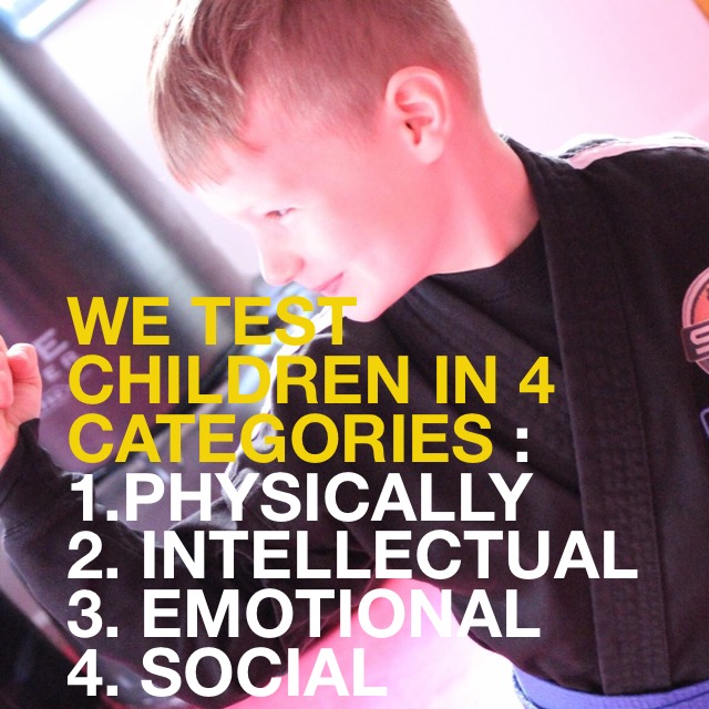 We Test Children in 4 Categories of Development
