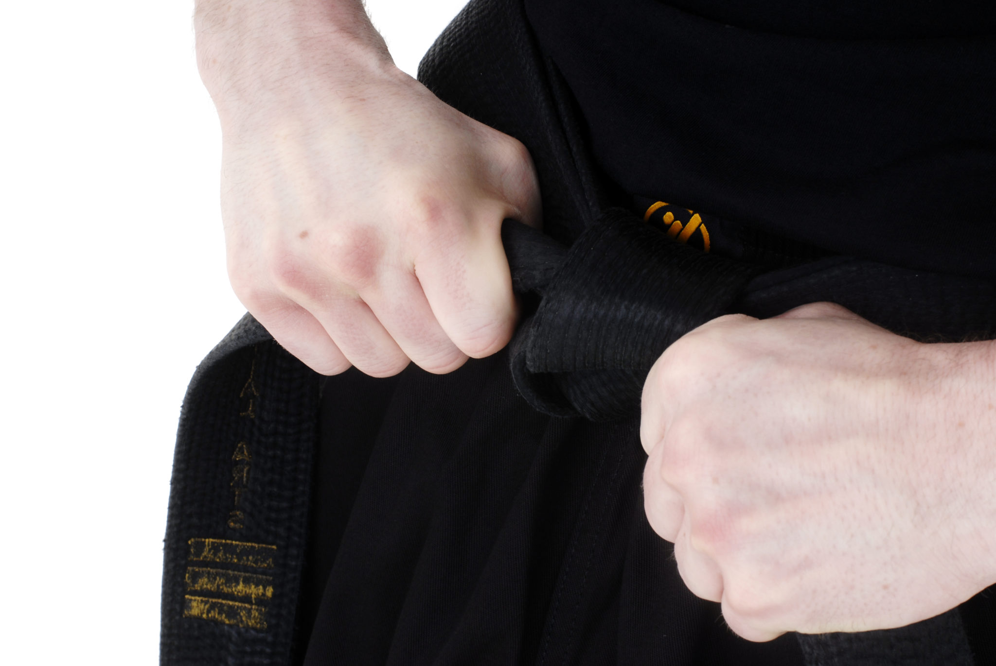 Read more about the article Black Belt is the Beginning