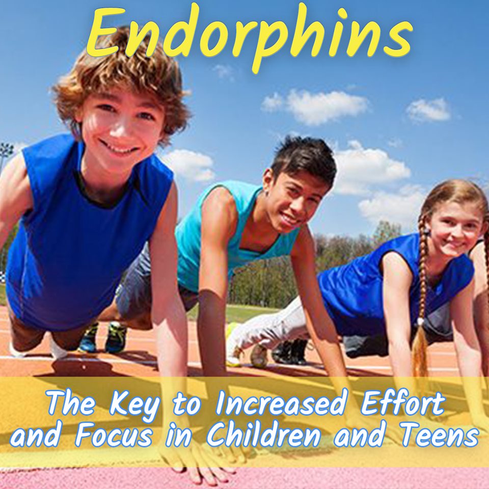 Read more about the article ENDORPHINS The Key to Effort and Focus in Children and Teens