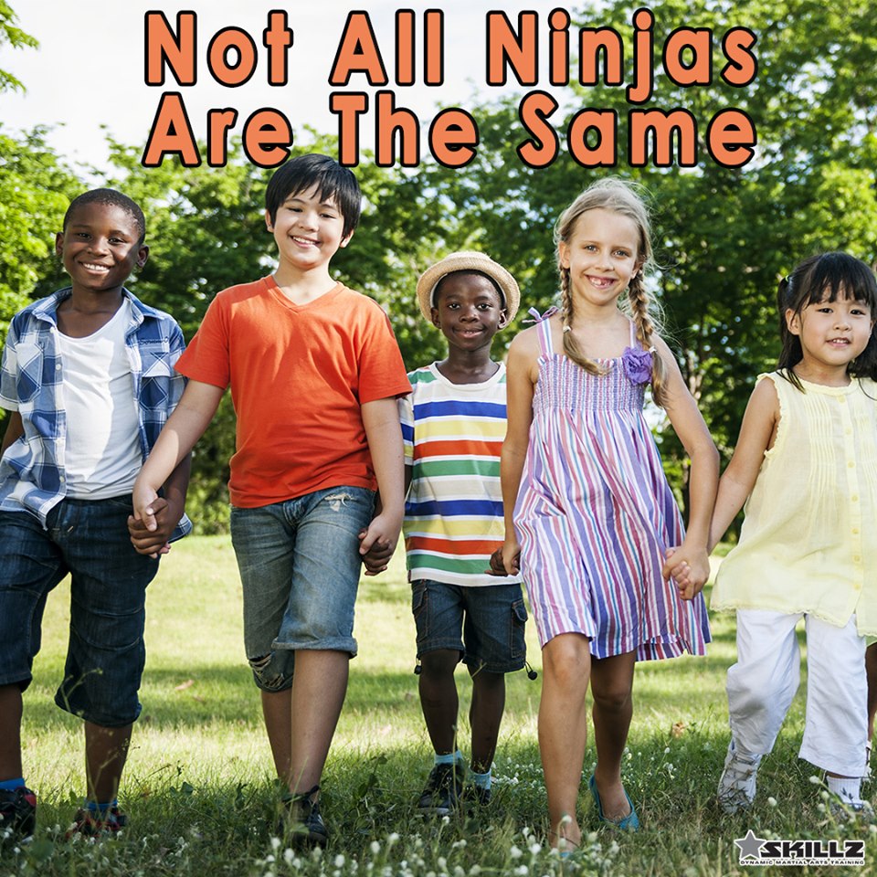 Read more about the article Not All Ninjas Are The Same