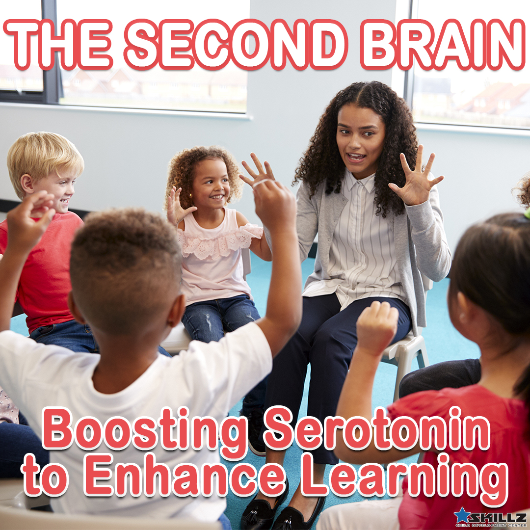 Read more about the article The Second Brain